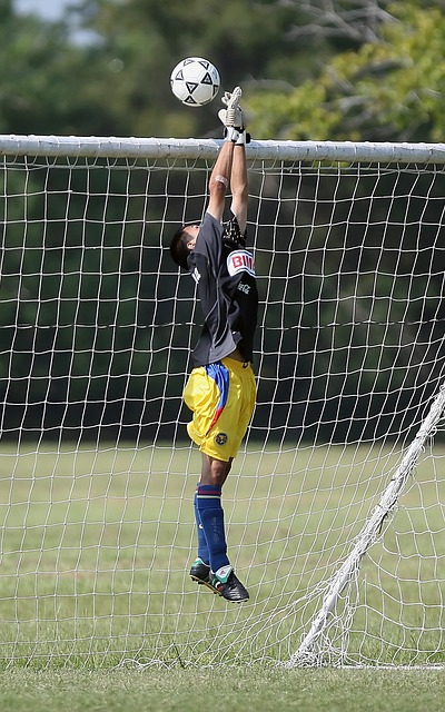 也为接下来 也为接下来