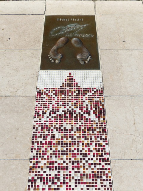 大的环境适 大的环境适