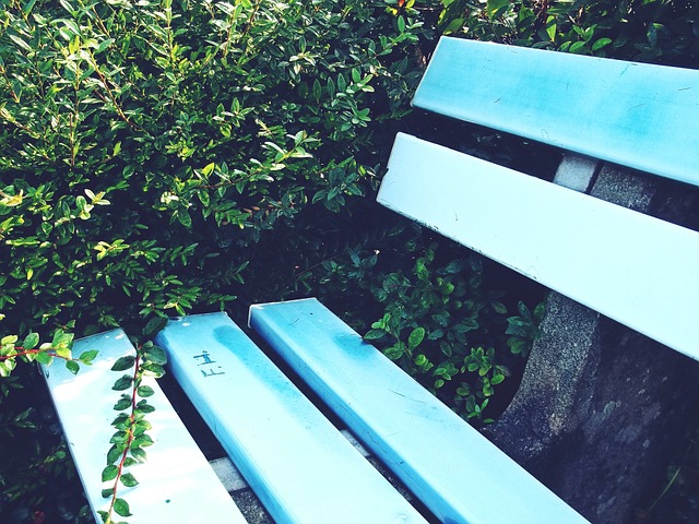 一则动态似 一则动态似