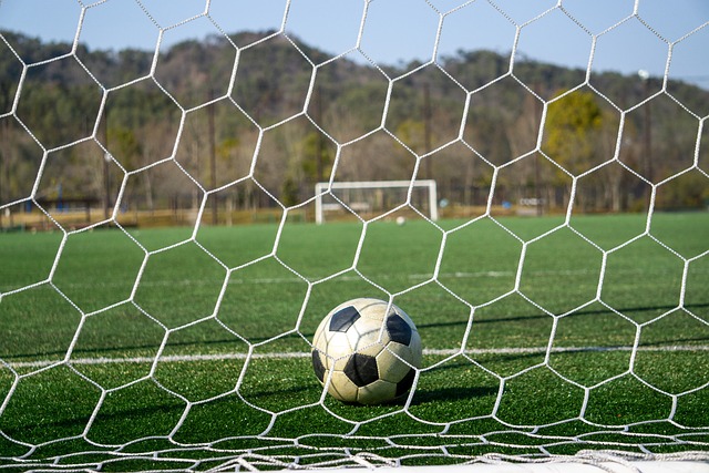 的年轻球员 的年轻球员